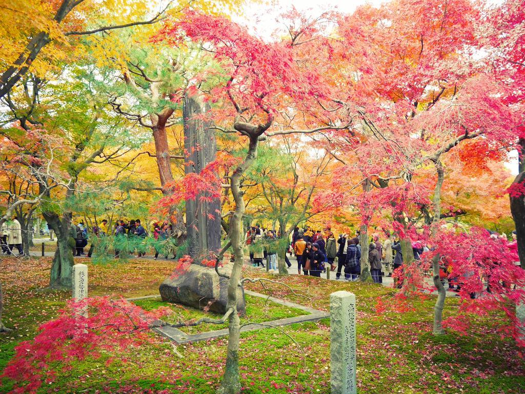 Japaning Hotel Kikoan 京都市 エクステリア 写真